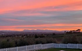 Olea B&B